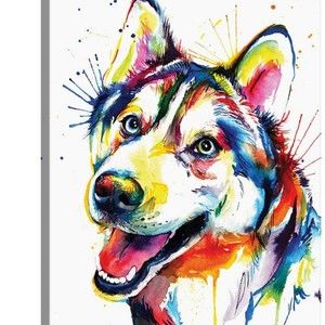 Meet your Posher, Rescue